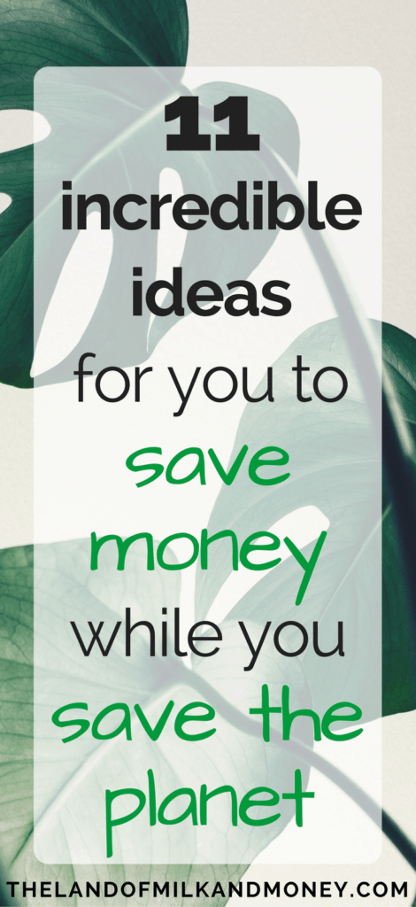 save money and be environmentally friendly