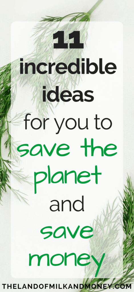 save money and be environmentally friendly