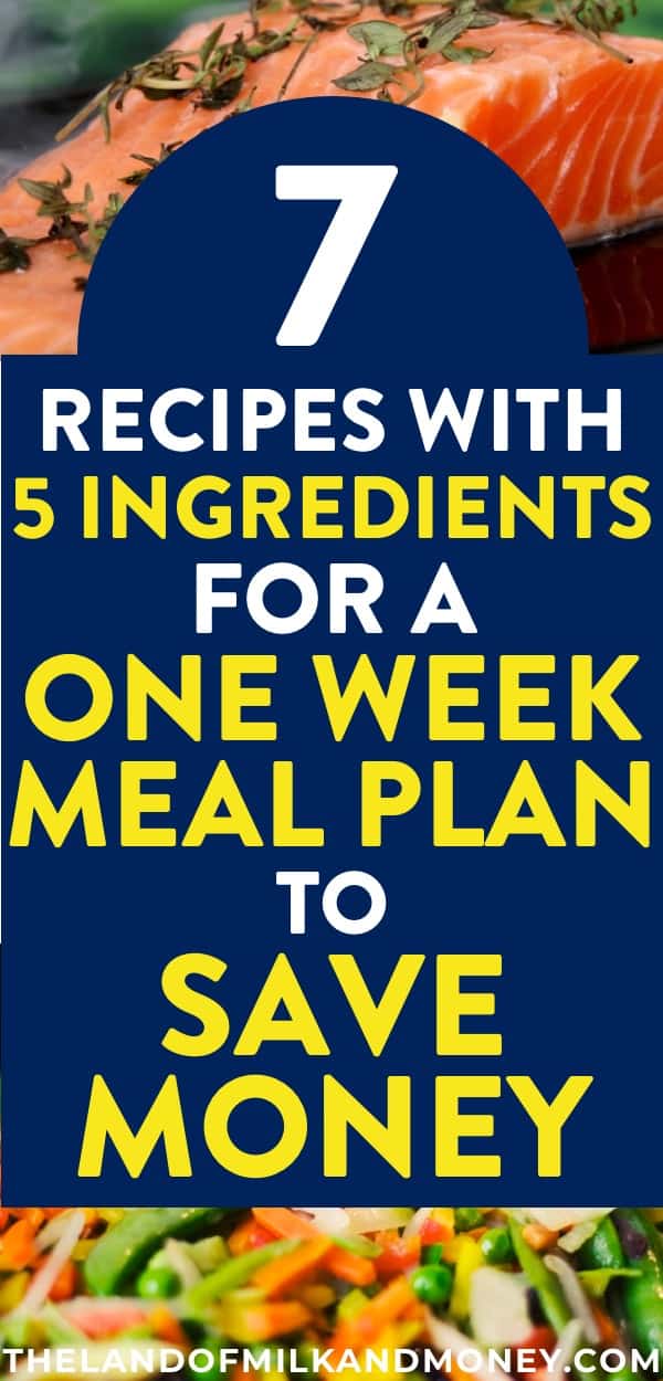 Yum! This weekly meal plan is great for beginners like me with tips for saving money by staying on a budget. These easy recipes are so healthy for my family too - there are even vegetarian dinners for the week which are great for weight loss! These ideas for a one week meal plan are so cheap, I might actually stick with frugal living this time by continuing to food prep!