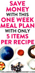 Yum! This weekly meal plan is so great for beginners like me in helping me with tips for saving money by staying on a budget. And the recipes are so easy and healthy for my family - there are even vegetarian dinner recipes for the week which are great for weight loss! The fact that these ideas are so cheap means I might actually stick with frugal living this time! #mealplan #recipe #savemoney #easyrecipe #easydinner #dinnerrecipes #save #money #frugal #vegetarian #vegetarianrecipes #personalfinance #cooking #mealprep #financialfreedom #ideas #tips