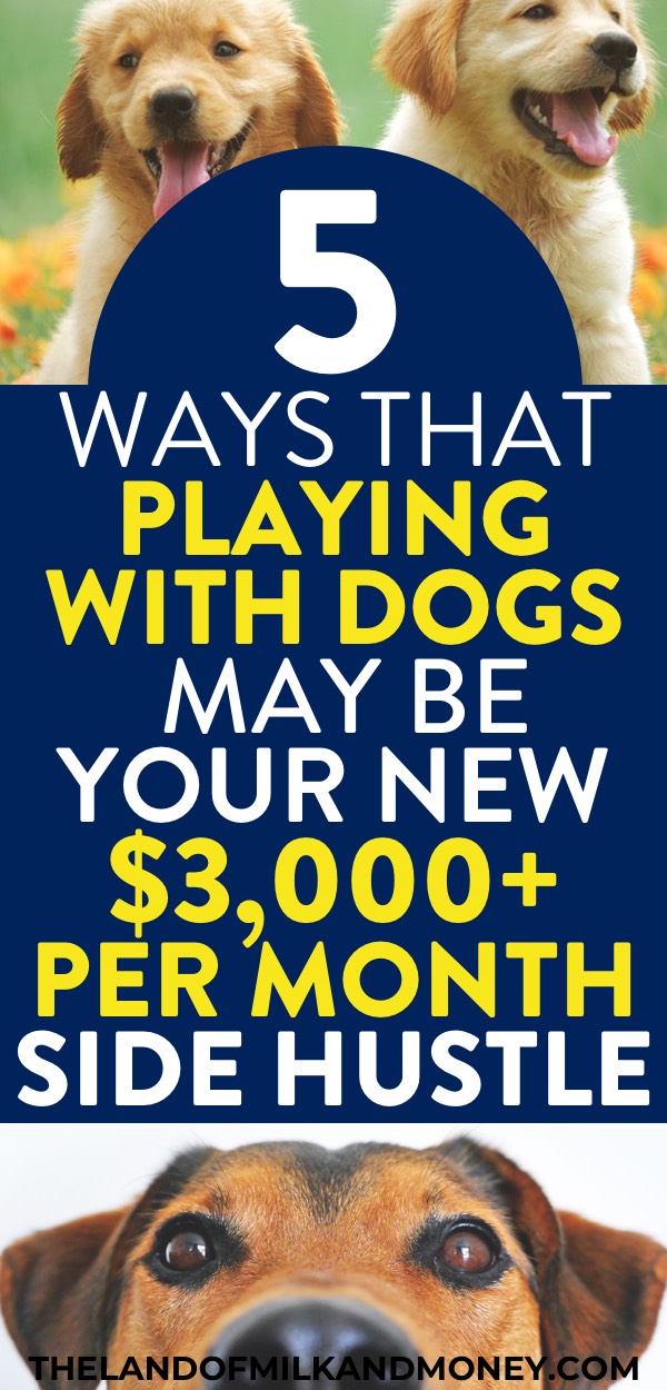 I always need new side hustle ideas so these easy ways to make money to have extra money on the side are SO cute! Seeing how to make money with dogs and cats is super useful, especially as I can easily make money dog walking or make money pet sitting or pet grooming. You can even make money off your dog! We money makers always need new money making ideas to earn money on the side and these are super easy side jobs to make money to help my money management by helping with saving money #sidehustle